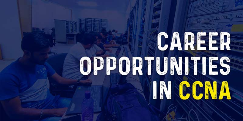 Career Opportunities in CCNA